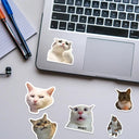 Funny Cat MEME Stickers Pack for Vibrant DIY Decor