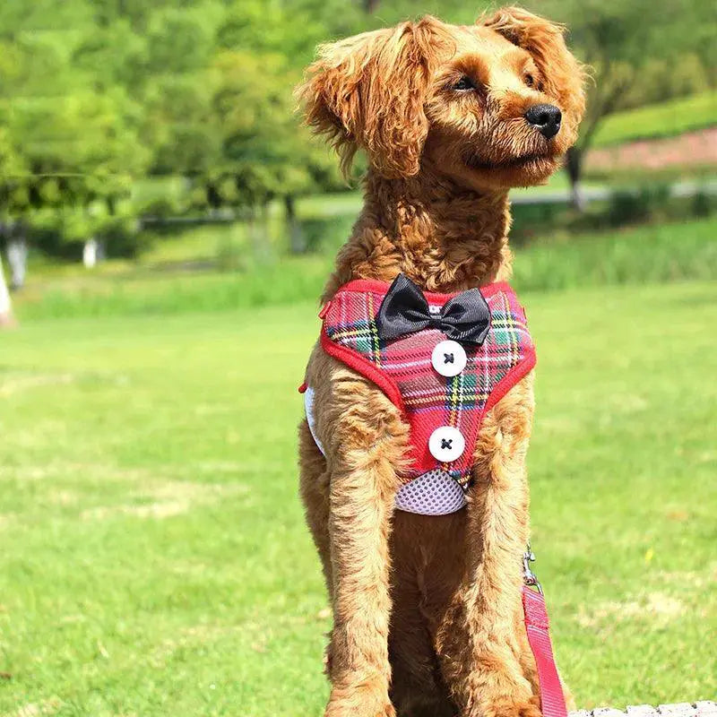 Festive Bowtie Pet Harness For Small To Medium Pets