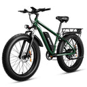 Premium 1500W 48V Fat Tire E Bike