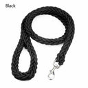 Nylon Dog Harness Leash: Premium Training Lead for Pets