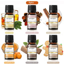 EUQEE 6 Piece Fragrance Oil Gift Set For Diffuser Oils