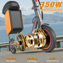 350W Electric Scooter 36V Foldable Urban Commuter