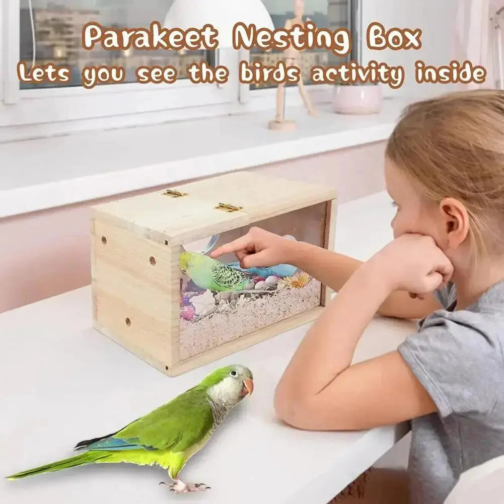 Transparent Acrylic Bird House Ultimate Visibility Safe