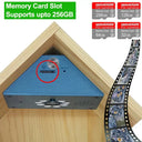 Real-Time Bird Watching Nest Box Camera