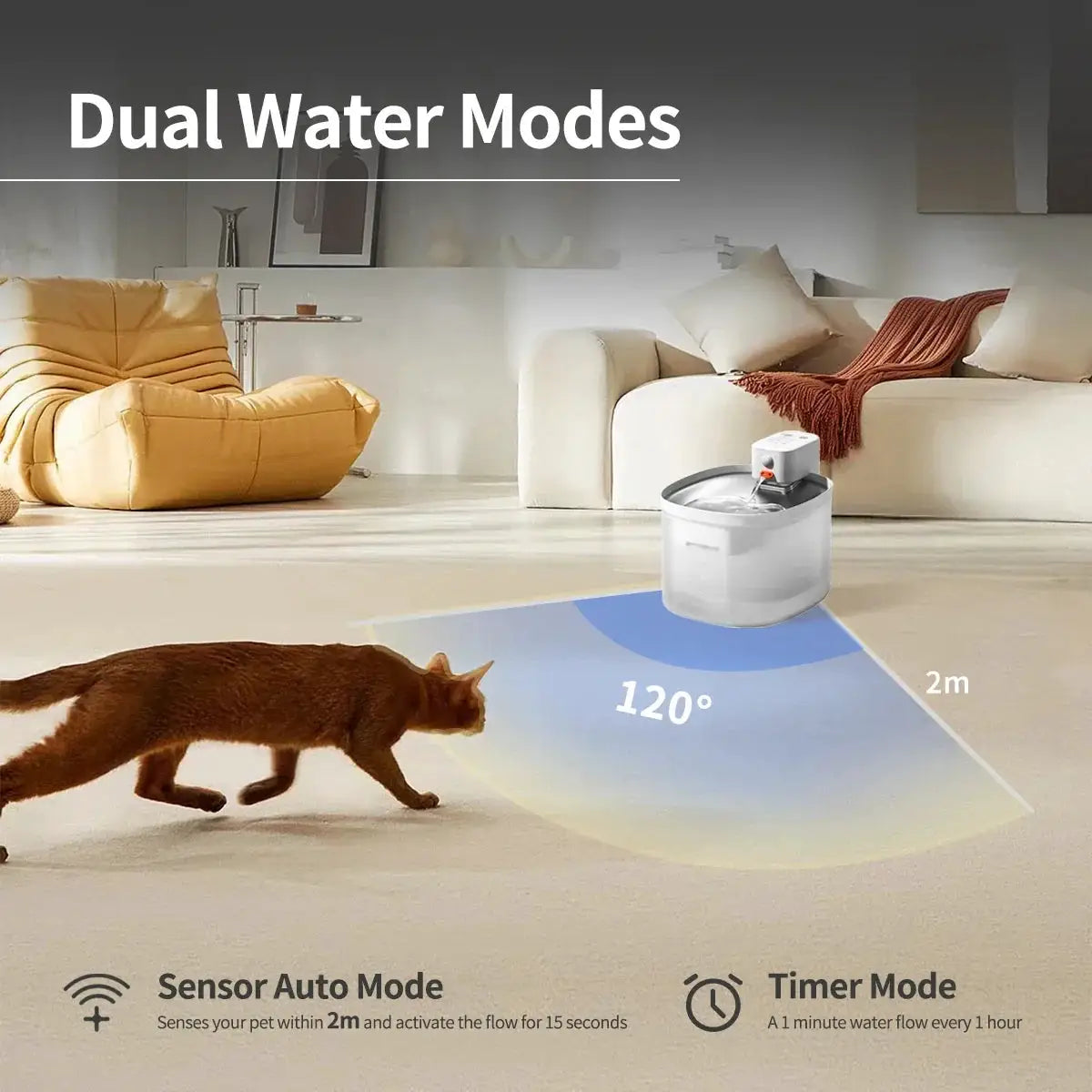 Cordless Automatic Pet Water Fountain And Smart Cat Feeder