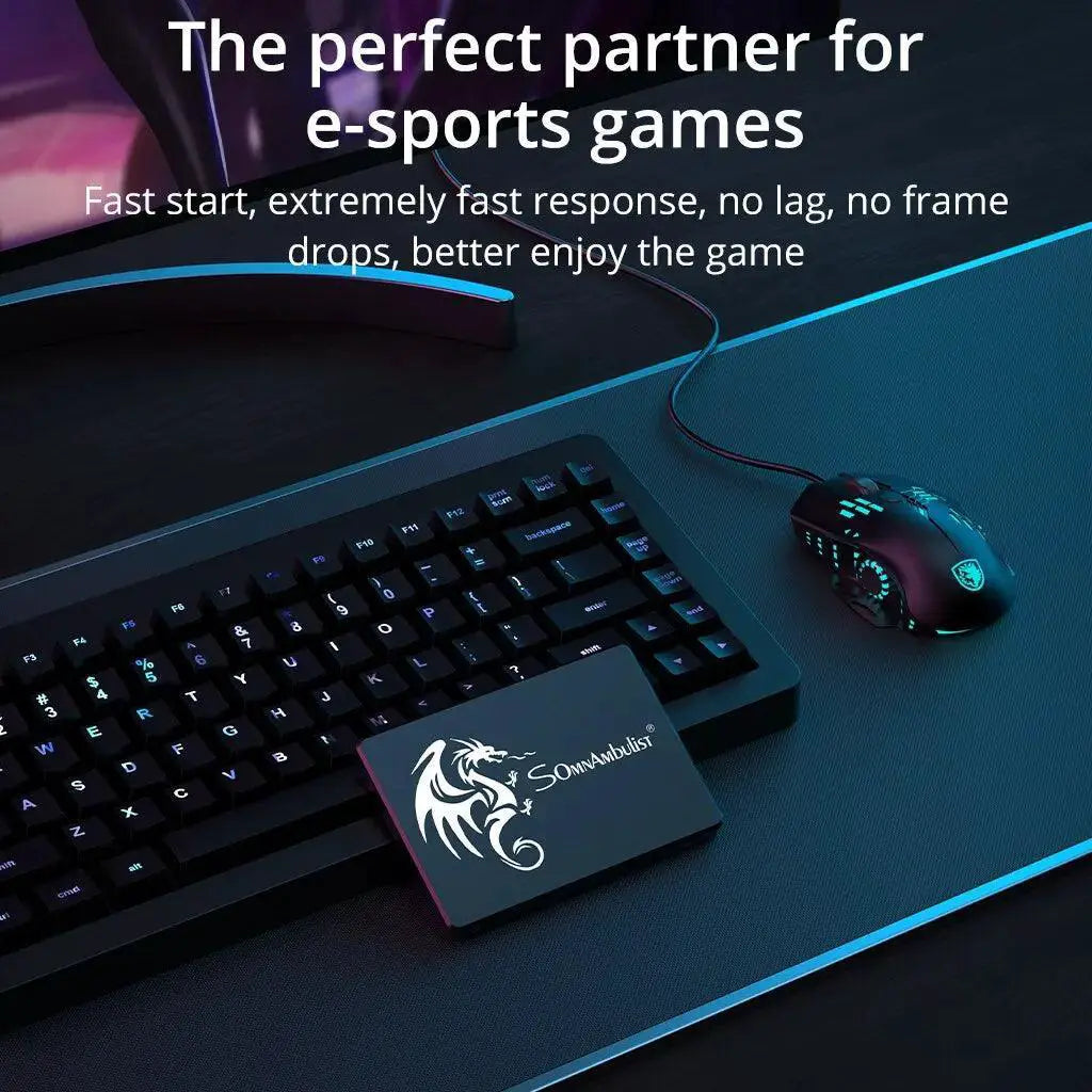 SomnAmbulist High Speed RGB SSD for PC Laptop Internal Drive