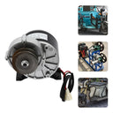Brushed Ebike Motor
