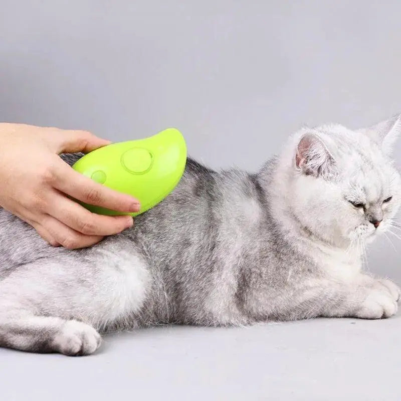 Steamy Cat Brush Electric Spray Grooming Tool For Pets