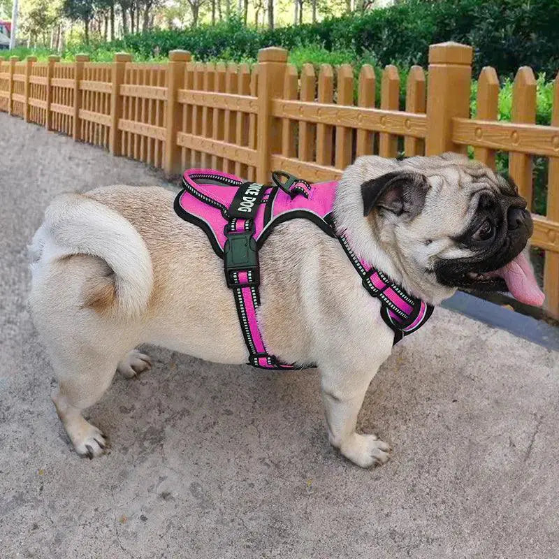 Reflective Nylon Dog Harness Vest With Personalized Leash