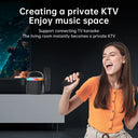 Karaoke Machine Bluetooth PA System with Microphones