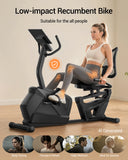 ROBORE CBR80 Recumbent Exercise Bike