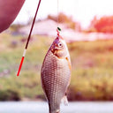 Artificial Fishing Bait 10pcs Fish Lures Realistic Cricket