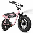ESKUTE V101 Fat Tire Electric Dirt Bike
