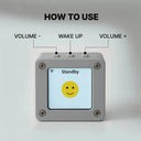 Pocket AI Robot For Students Learning