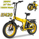 Heavy Duty Fat Tire Electric Bike