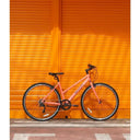 Populus Women's Lightweight Bicycle