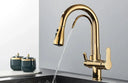 Filtered Water Kitchen Faucet For Homes