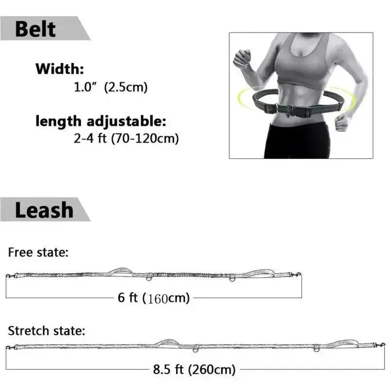 Reflective Hands Free Dog Leash With D Ring Harness Design