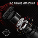 XLR Dynamic Microphone K669D for Podcasting and Streaming