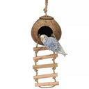 Mold-Resistant Bird Nest Outdoors