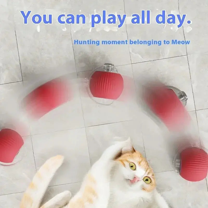 Interactive Auto Electric Rolling Ball Cat Toy for Cats