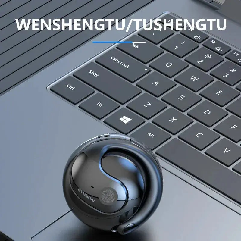 Wireless Bluetooth Translation Earbuds With AI Translation