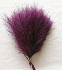 Effortless Pampas Grass Decor for Home