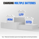 Auto Smart 12V 24V Battery Charger