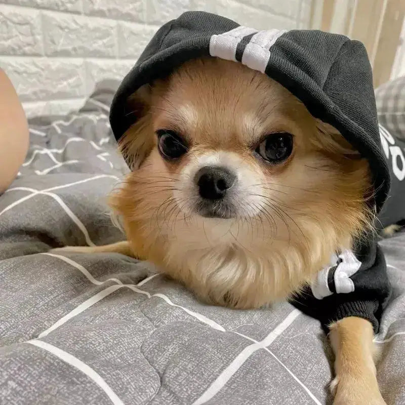 Cozy French Bulldog Puppy Jumpsuit For Small Dogs Ultra