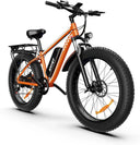 Premium 1500W 48V Fat Tire E Bike