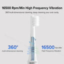 Toothbrush With 360 Clean For Daily Use