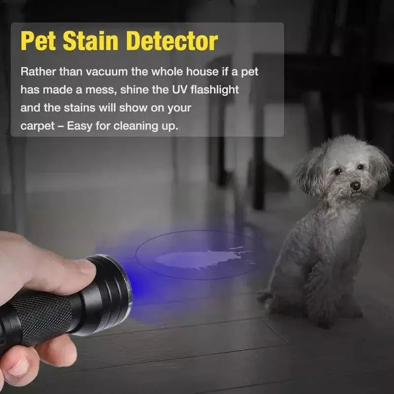 LED UV Blacklight Mini Torch For Pet Stain Detection