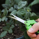 Garden Stainless Steel Flower Scissors Pruning Tools Set