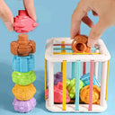 Shape Sorting Toy for Kids Math Skills