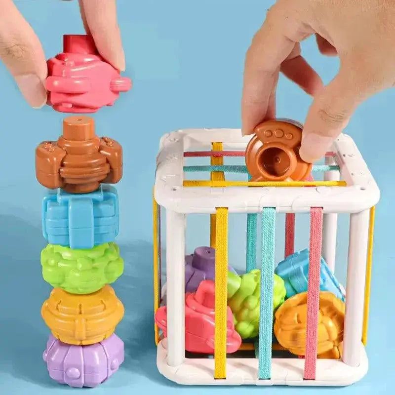 Colorful Shape Sorting Educational Toy for Kids MMloveBB