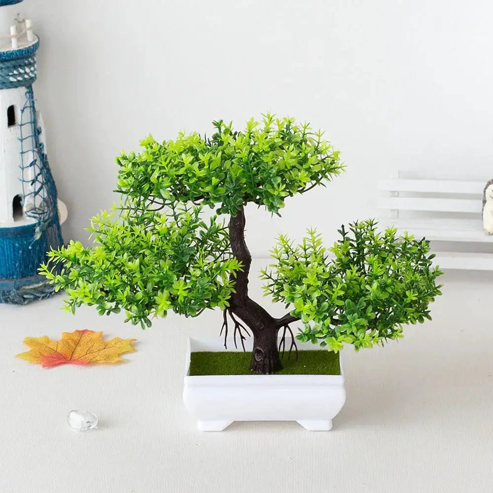 Low Maintenance Bonsai Desk Plant Decor — C4