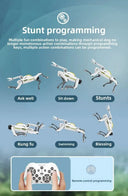 Robot Dog For Teens Coding Practice