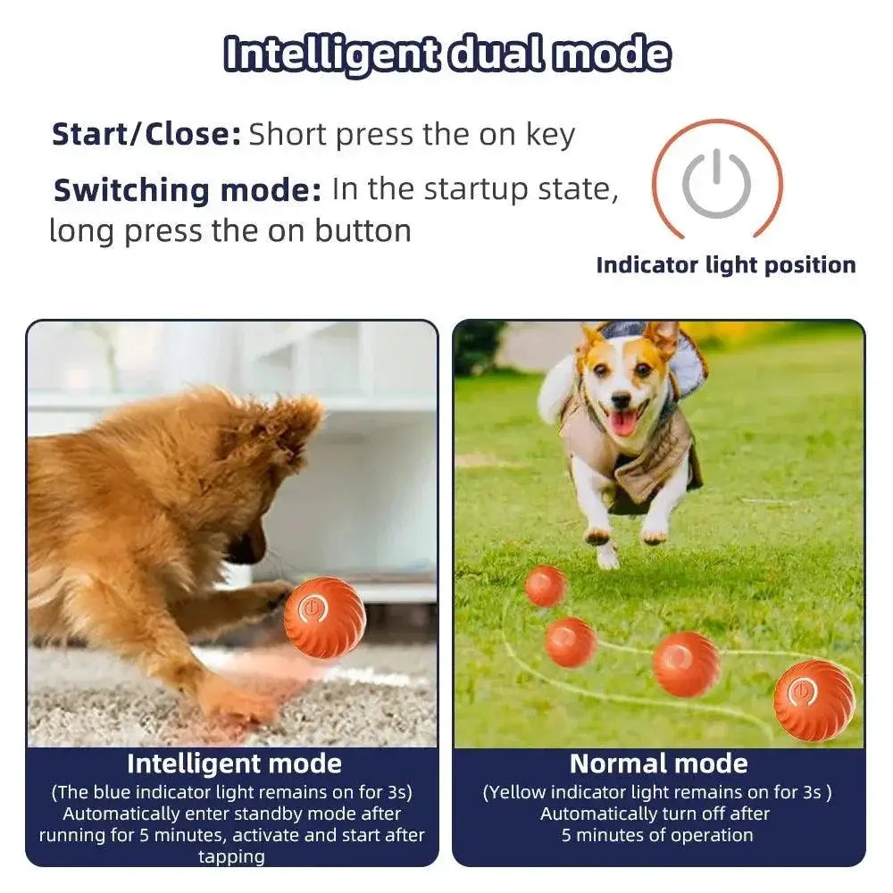 Interactive Smart Dog Toy Ball USB Bouncing Fun for Pets
