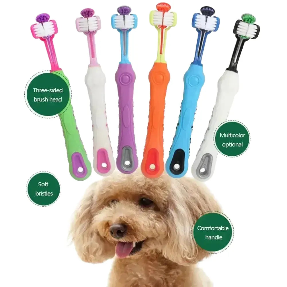 Three-Head Pet Toothbrush for Dog Teeth — B02