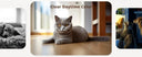 Smart Pet Camera for Live Monitoring