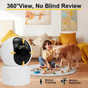 Indoor IP Camera for Home Monitoring