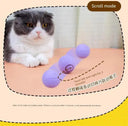 Autonomous Jumping Ball Cat Toy Indoors