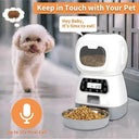 Pet Feeder With Water Fountain