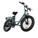 URLIFE 750W E20 Electric Fat Tire Bike