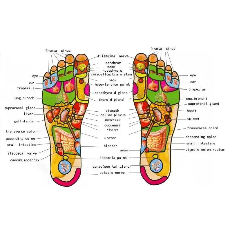 Massage Reflexology Natural Wooden Foot Roller Wood Care Relax Relief Massager Spa Gift Anti Cellulite Foot Massager Care