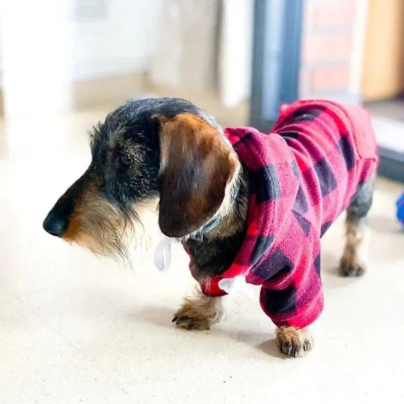 Winter Wool Pet Hoodie For Chihuahuas And Pugs Warmth