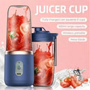 Double Cup Multifunction USB Fruit Juicer Blender Maker