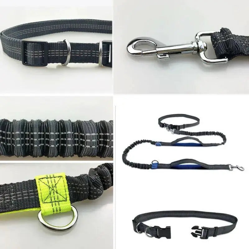 Reflective Hands Free Dog Leash With D Ring Harness Design