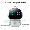 Cloudraker AI Robot - Educational Voice Chat