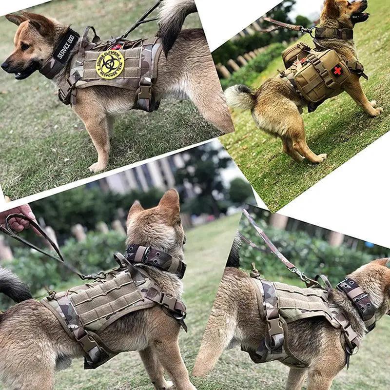 Tactical Dog Harness Set German Shepherd Training Gear